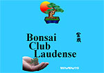 Bonsai Club Laudense